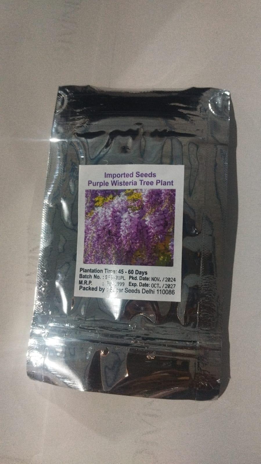 The Garden’s Cascading Beauty All Year Round - Robert errands 