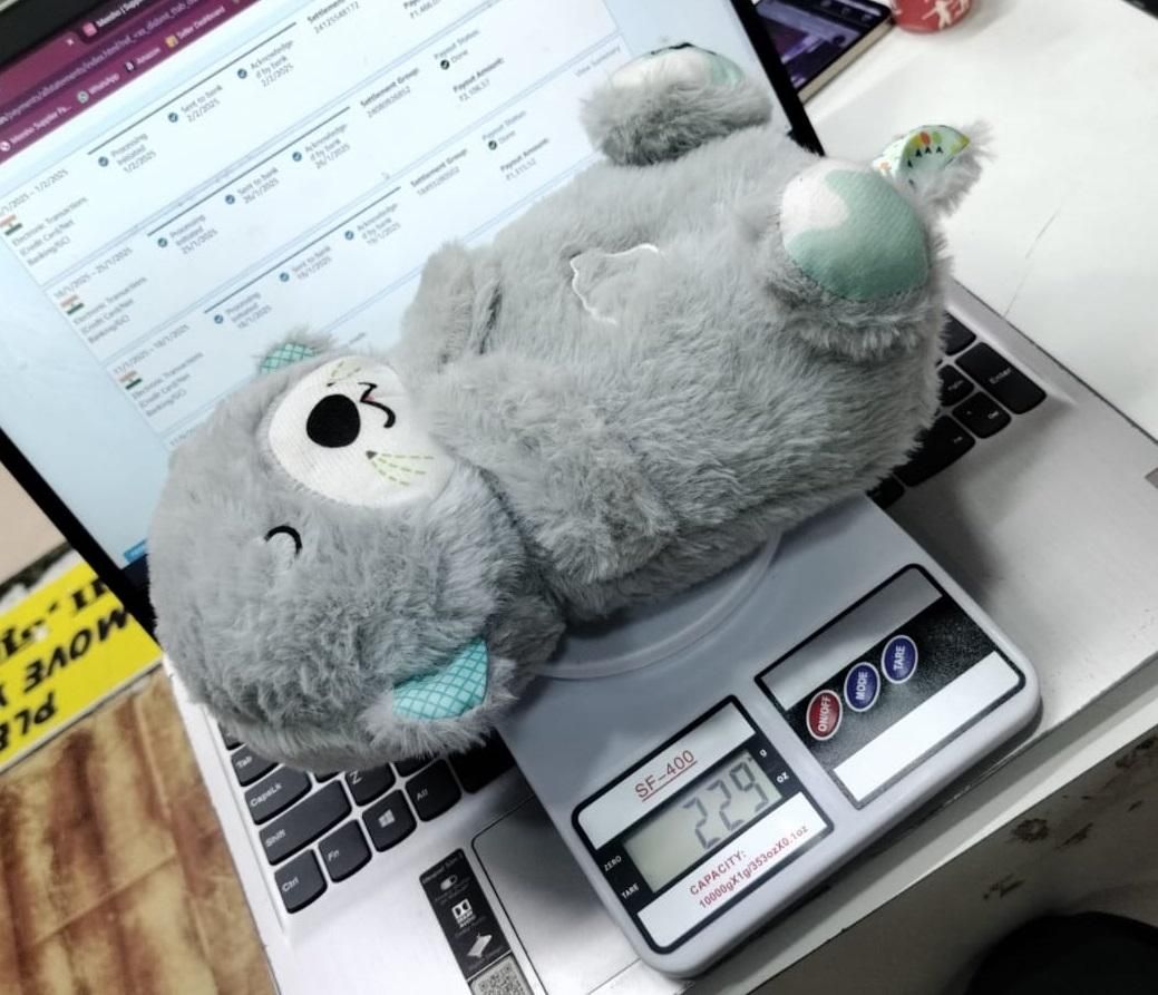 Breathing Teddy Bear with Soothing Music, Comfort Plush - Robert errands 